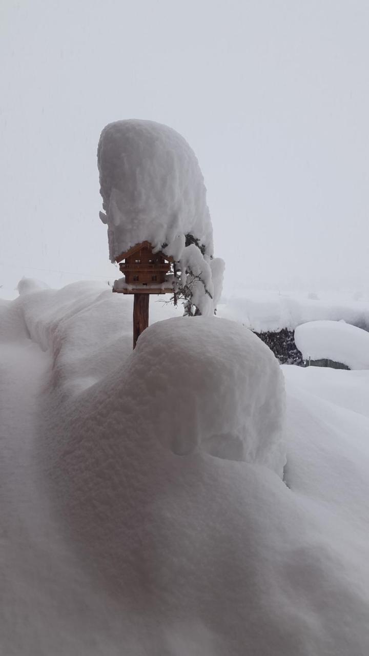 Haus Lienbacher Apartment Flachau Bagian luar foto